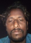 B p l, 36 лет, Indore