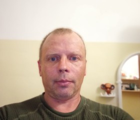 Андрей, 50 лет, Новомосковск