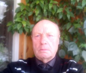 Валерий Н, 68 лет, Ульяновск