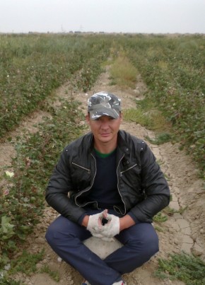 Андрей, 41, O‘zbekiston Respublikasi, Toshkent