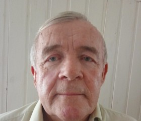 Валерий, 67 лет, Золотухино