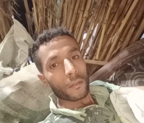 هشام, 31, Tahta