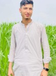 Shafi, 19 лет, چکوال‎