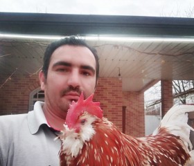 Allllli>i2589, 41, Rasht