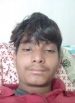 Nikeshbiswal, 18 лет, Raigarh
