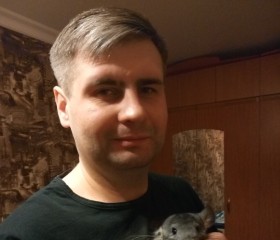 Никита, 33 года, Владимир