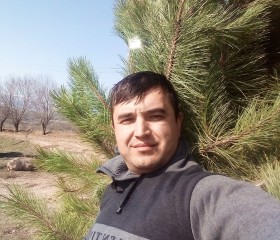 Maruf, 32 года, Toshkent