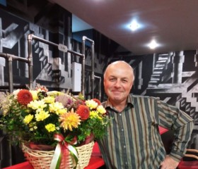 Михаил, 57 лет, Новосибирск