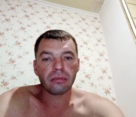 Magic Tiger, 38 лет, Ростов-на-Дону