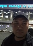 Алан, 42 года, Бишкек