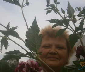 Людмила, 62 года, Вологда