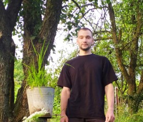 Станислав, 28 лет, Чернівці
