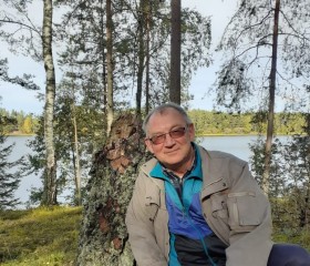 Игорь, 63 года, Псков