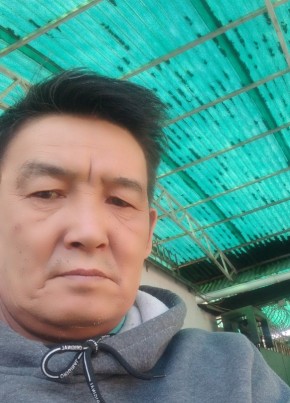 Эмиль, 57, Кыргыз Республикасы, Бишкек