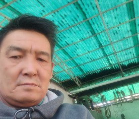 Эмиль, 57 лет, Бишкек