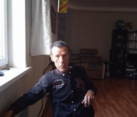 Николай Федяшин, 61 год, Мичуринск