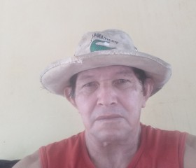 Sebastiao, 54 года, Nova Olímpia