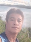 Manny, 43 года, Lungsod ng Dabaw