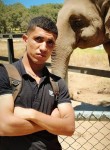 Walid Chawi, 26 лет, BABOR - VILLE
