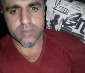 cesir, 44, Istok