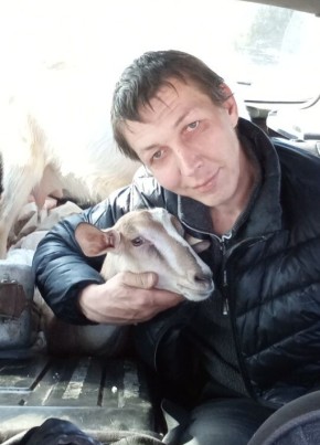 Mikhail, 40, Russia, Vladimir