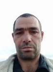 Vitali Mitev, 42 года, Iași
