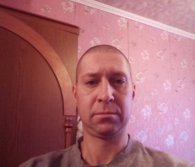 Михаил, 38 лет, Владимир