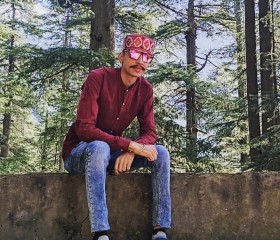 Rishi Sharma, 28 лет, Jalandhar