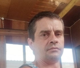 Андрей, 43 года, Болхов