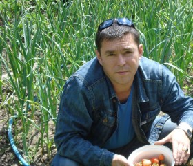 Герман, 48 лет, Зеленоград