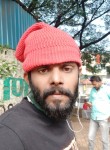 Vishal Lokhande, 36 лет, Pune