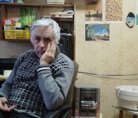 Виктор, 74 года, Тула