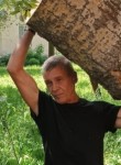 Mikhail, 49, Voskresensk
