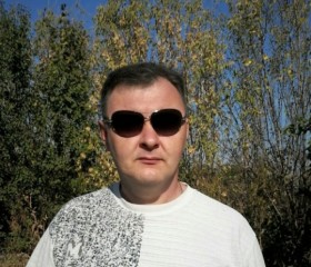 Олег, 48 лет, Первомайськ (Луганська)