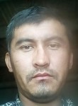 Davron, 33 года, Toshkent