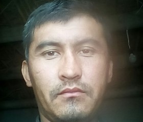 Davron, 33 года, Toshkent