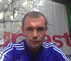 Андрей, 43 года, Артемівськ (Луганськ)
