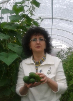 Natasha, 64, Russia, Ufa