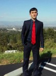 shahab, 35 лет, Rowland Heights