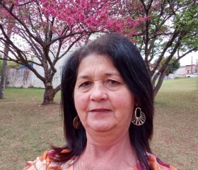 Marilda Antunes, 54 года, Coronel Vivida