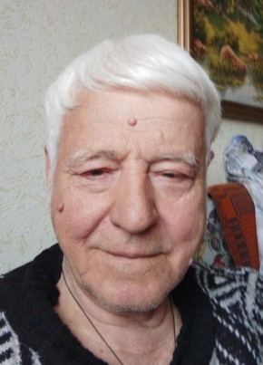 Владимир, 74, Россия, Димитровград