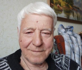 Владимир, 74 года, Димитровград
