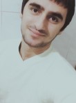 Давид, 22 года