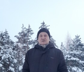 владимир, 62 года, Донецк