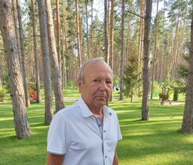Сергей, 59 лет, Тольятти