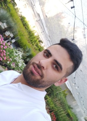 Mahmoud, 28, فلسطين, الخليل
