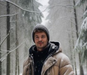 Алексей, 41 год, Шентала