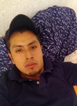 Roberto, 33 года, Cd. Nezahualcóyotl