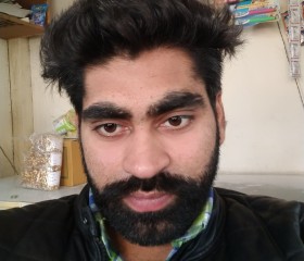 Harmit Singh, 35 лет, Chandigarh