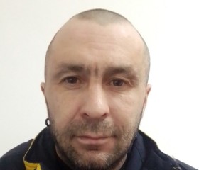 Андрей Шлейгер, 45 лет, Ковдор